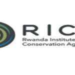 Veterinarian Job at Rwanda Institute for Conservation Agriculture (RICA) — Apply by 23 February 2026