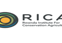 Veterinarian Job at Rwanda Institute for Conservation Agriculture (RICA) โ Apply by 23 February 2026 Veterinarian Job at Rwanda Institute for Conservation Agriculture (RICA) โ Apply by 23 February 2026
