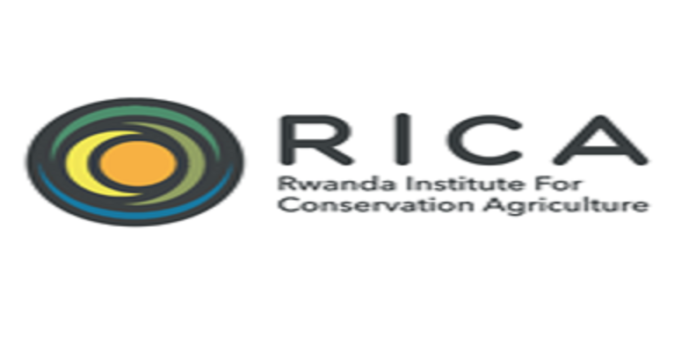 image Veterinarian Job at Rwanda Institute for Conservation Agriculture (RICA) — Apply by 23 February 2026